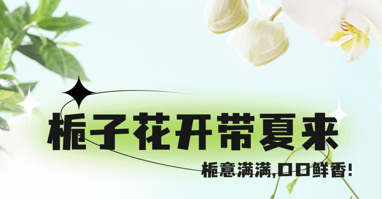 栀子花茶7月新上市 ，栀意满满，带你入夏！
