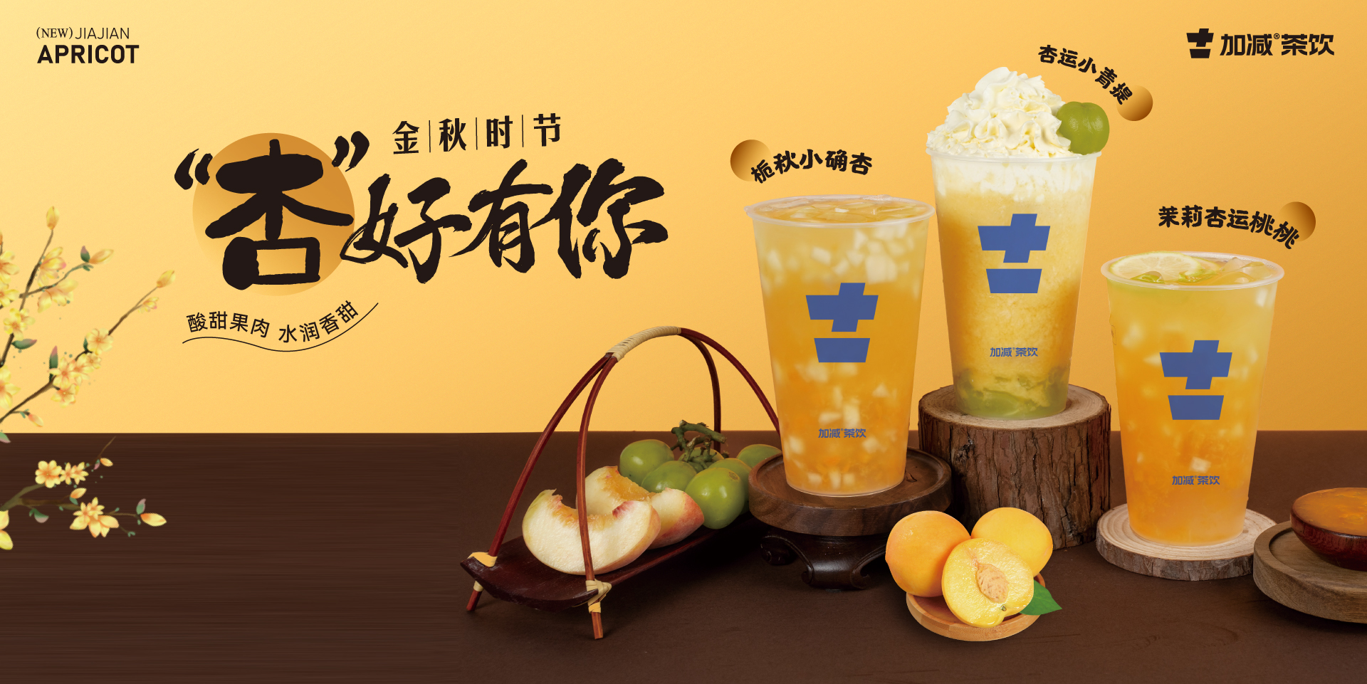 金秋时节，“杏”好有你
